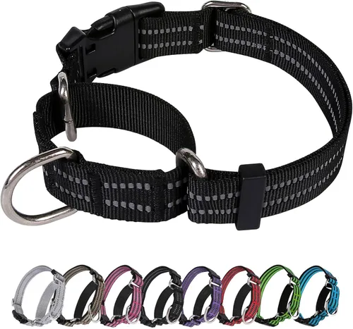 Vista 18 de Martingale - Collar reflectante de nailon ajustable con hebilla de liberación rápida, collares de entrenamiento para perros pequeños, medianos