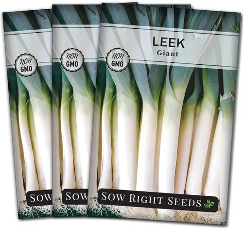 Vista 8 de Sow Right Seeds - Semillas de puerro gigantes para plantar - Paquete de reliquia sin OMG con instrucciones para plantar y cultivar un huerto