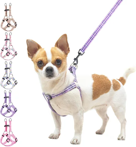 Vista 10 de BEAUTYZOO Juego de arnés y correa para perro, arnés ajustable para cachorros, chaleco de nailon suave a prueba de escapes con doble anillo en D