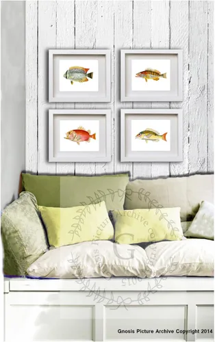 Vista 3 de Juego de 4 impresiones artísticas de peces tropicales sin marco, color arco iris, decoración de baño de playa y pescado_4A