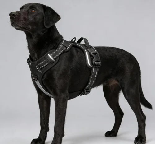 Vista 4 de Arnés negro reflectante sin tirones para perro con 2 clips para correa, chaleco acolchado suave para perros pequeños, fácil de poner y quitar