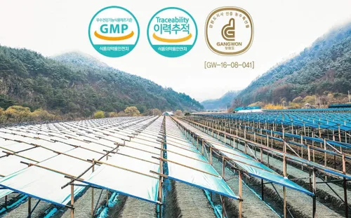 Vista 4 de Gangwoninsam ] Extracto de ginseng rojo coreano de oro, 17.64 oz / 17.63 onzas líquidas – Contiene extracto de raíz de ginseng rojo coreano 100%