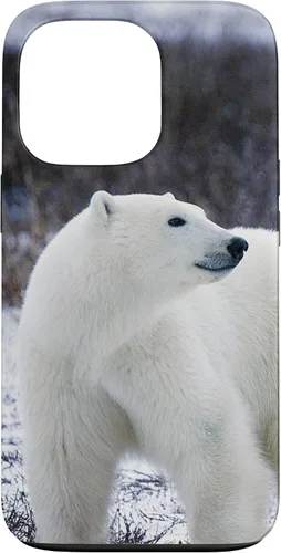 Vista 10 de Polar Bears Animal Nature Case for iPhone 17