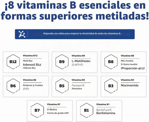 Vista 3 de BioActive Complejo de vitamina B, listo para el flujo sanguíneo, complejo B metilado, con metilfolato, 3 formas bioactivas de B12, BenfoPure® B1
