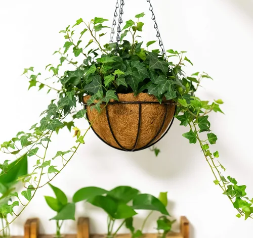 Vista 2 de Kingbuy - Cesta colgante para flores o plantas, con cadena, para la casa o el balcón, elemento decorativo