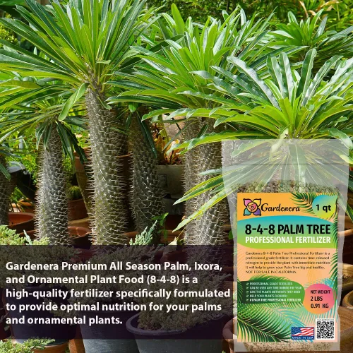 Vista 2 de Fertilizante profesional de palmeras prémium 8-4-8 Plantas en macetas de interior y palmeras de paisaje al aire libre Fertilizante nitrogenado