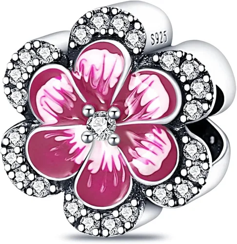 Vista 35 de Dijes de plata de ley 925 para pulseras, collares, colgante con circonitas cúbicas 5A dije charm para mujeres joyería DIY