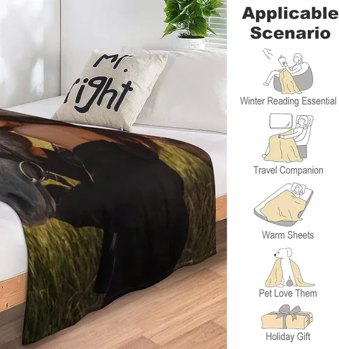 Vista 4 de D-Story Manta personalizada con fotos, manta de fotos personalizada con cualquier texto, manta de forro polar personalizada para cama, sofá