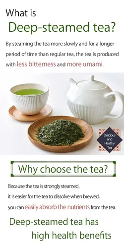 Vista 5 de Kayamaen - Bolsas de té verde japonés Ippuku 30 unidades de té verde tradicional japonés