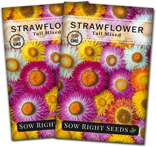 Vista 7 de Sow Right Seeds - Semillas altas de fresa mixta - Paquete de reliquia sin OMG con instrucciones para cultivar - Hermoso para plantar en tu jardín