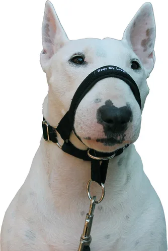 Vista 3 de Collar con bozal para perro, color azul , negro