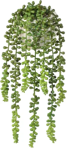 Vista 2 de Plantas suculentas artificiales, pequeña cadena de perlas con maceta de cerámica, cadena de perlas artificiales adecuadas para decoración del jardín