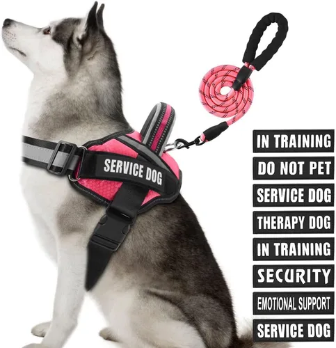 Vista 54 de Juego de Chaleco y Correa para Perro de Servicio, Arnés de Entrenamiento Animire para Perro con 10 Parches para Perros, Correa Reflectante