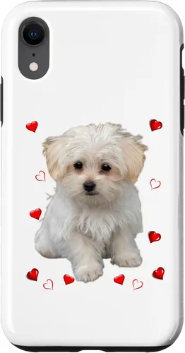 Vista 24 de Funda para iPhone 11 Maltipoo Mix Fans para amantes de los perros maltés