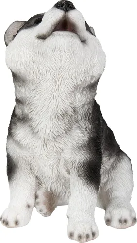 Vista 3 de Husky Siberiano Cachorro Aullando