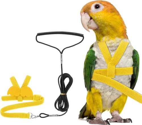 Vista 10 de Correa de arnés para pájaros, arnés ajustable para pájaros y loros para mascotas, ligera, antimordeduras, cuerda de entrenamiento de vuelo con linda