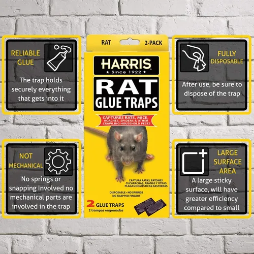 Vista 3 de Harris Trampas de pegamento para ratas, totalmente desechables (paquete de 2)