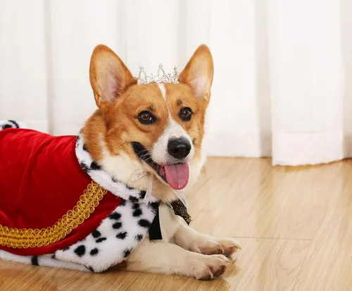 Vista 12 de Lovelyshop Pet Series Corona para Perro/Gato Redonda Completa Chapada en Oro con Diamantes de Imitación y Perlas Reales para Disfraz de Familia Real