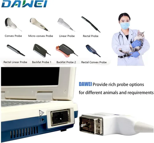 Vista 3 de DAWEI Mu10 - Escáner veterinario de ultrasonido con sonda impermeable B, BB, BM, 4B para veterinario, escáner de ultrasonido, animales, examen