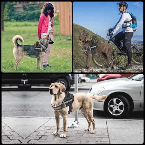 Vista 4 de JSXD - Arnés para perro, sin tirones, con asa ajustable, para exteriores, chaleco de nailon reflectante 3M, fácil control del perro, para razas Negro