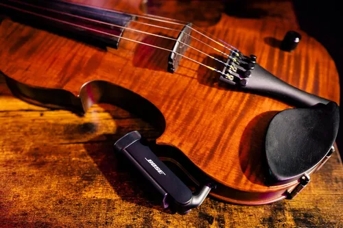Vista 5 de Bose Transmisor de instrumentos inalámbrico de ¼" para sistema PA S1 Pro+