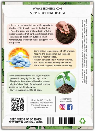 Vista 2 de Seed Needs, Semillas de acedera de hoja grande, 500 semillas tradicionales para plantar Rumex acetosa, hierba medicinal o culinaria sin OMG y sin