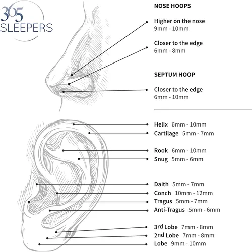 Vista 4 de 365 Sleepers 2 piezas G23 Titanium 20G (muy fino) Aretes de aro con bisagras, segmento de nariz, 0.197in - 0.236in - 0.276in - 0.315in - 0.354in