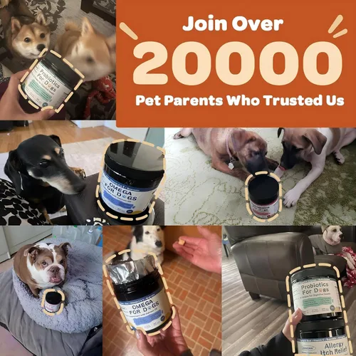 Vista 13 de ZEBORA Probióticos para perros, apoya la salud digestiva, 120 masticables suaves