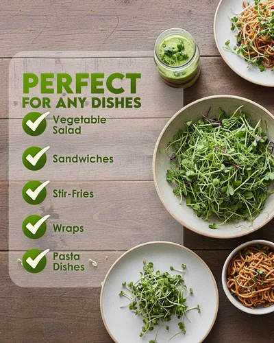 Vista 6 de Nature Jims Sprouts Semillas de brócoli orgánicas para germinar, certificadas sin OMG, ricas en sulforafano, semillas microverdes de crecimiento