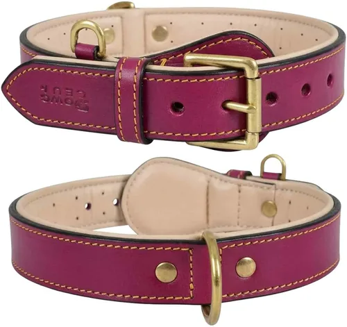 Vista 9 de Collar de perro de cuero genuino, pequeño, acolchado transpirable, hebilla