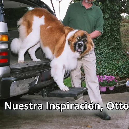 Vista 5 de Rampa y escalón para mascota para auto Otto Step