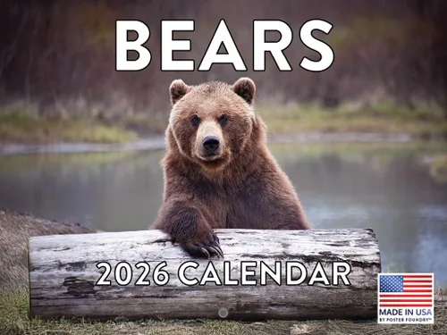 Vista 125 de Calendario mensual de pared de alpaca 2025 Fabricado en Estados Unidos