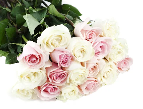 Vista 53 de KaBloom - Rosas arcoíris (media docena)- Flores frescas para cumpleaños, San Valentín y Día de la Madre