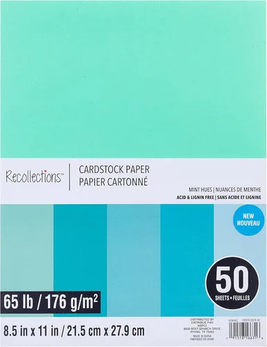 Vista 17 de Recollections 600 hojas de papel de cartulina de 8.5 x 11 pulgadas, sin ácido ni lignina, para álbumes de recortes, artes y manualidades, paquete a
