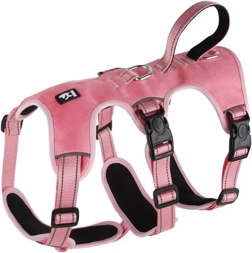 Vista 11 de FEimaX Arnés para perro sin tirones, chaleco acolchado suave para perro con 3 clips para la correa y asa de fácil control, reflectante ajustable sin