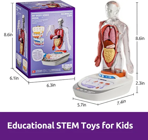 Vista 8 de Science Can Modelo de cuerpo humano para niños, juguetes interactivos