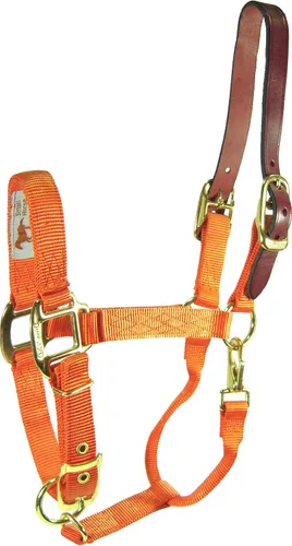 Vista 5 de Hamilton Cabestro ajustable de nailon de 1 pulgada con cabeza de cuero y broche de garganta, grande, negro