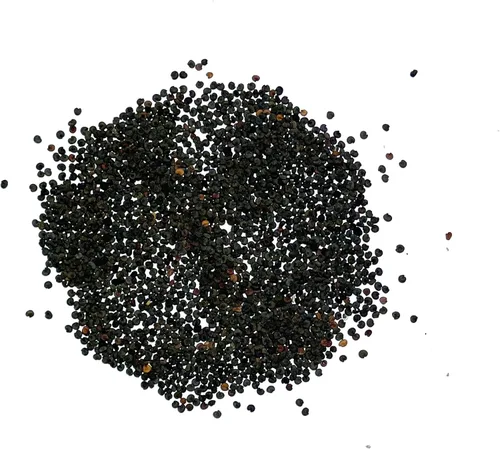 Vista 4 de Seed Needs Semillas de aliento de bebé rosa para plantar flores anuales, 1 paquete
