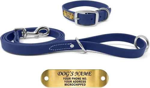 Vista 18 de Regal Dog Products Collares de perro pequeños negros impermeables con placa de nombre personalizada grabada Collar de perro de Biothane