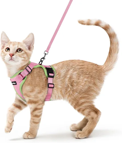 Vista 106 de rabbitgoo Cat Harness and Leash Set, Escape Proof Vest, Berry Pounce Soft Breathable Mesh, Easy Adjustable Fit, Snap Buckles, Sturdy Clip