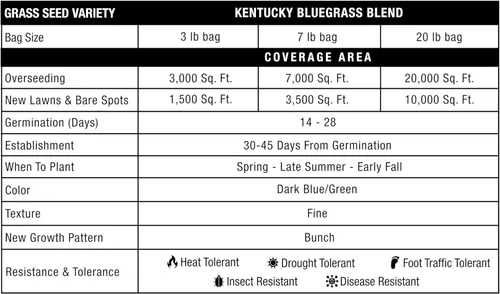 Vista 8 de GreenView Pure Grass Seed Kentucky Bluegrass Blend, bolsa de 3 libras Fill bare spots fast, bluegrass seed for sun and light shade, overseeding