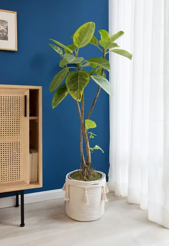 Vista 4 de Mkono - Canasta decorativa de macramé de cuerda de algodón boho, linda cesta tejida con borla, contenedores de almacenamiento para armario