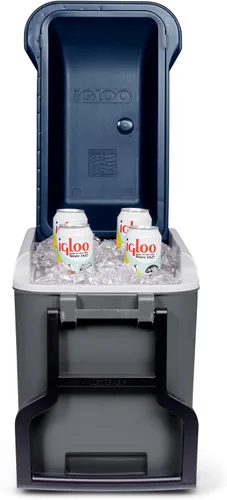 Vista 2 de IGLOO Maxcold