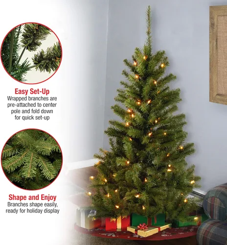 Vista 4 de árbol envuelto abeto Canadian Grande de National Tree con 300 multiluces