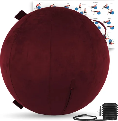Vista 18 de Husband Pillow Exercise Ball, Cover with Pump for Yoga, Pilates, Fitness Balance Stability, Office Ball Chair Seat. Soft & Slip Resistant, Pro Guide