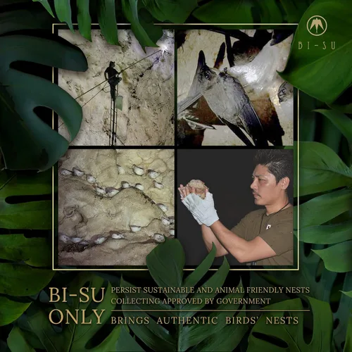 Vista 8 de BI-SU Mascarilla facial Extracto natural de nidos Swiftlet, ácido hialurónico, ceramida, colágeno, escualano, cuidado de la piel japonés