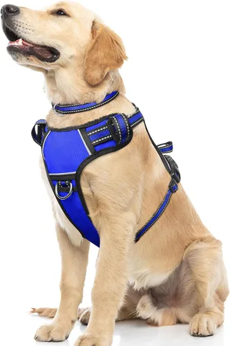 Vista 13 de Arnés para perro sin tirones, arneses para mascotas con collar, chaleco Oxford reflectante y ajustable, hebillas delanteras y traseras para correa