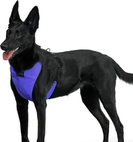 Vista 12 de YAP Techno® - Arnés para perro sin tirones, ajustable en 4 direcciones, arnés de chaleco para perro con control de temperatura, arnés para perro sin