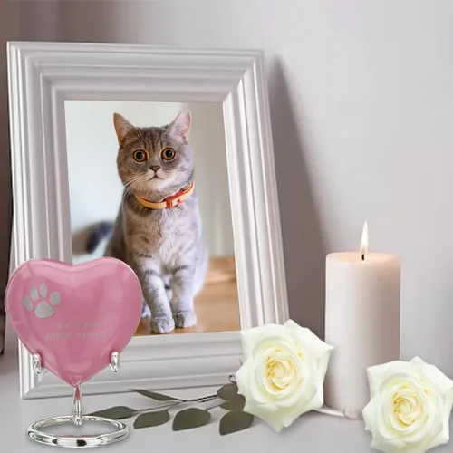 Vista 3 de Urna de recuerdo de corazón rosa para mascotas, cenizas de gato (3 pulgadas), mini urna