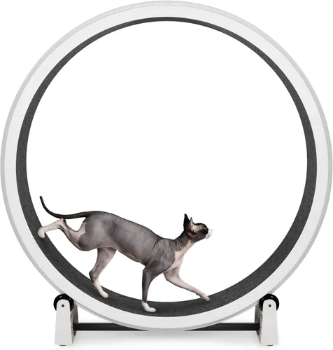 Vista 12 de One Fast Cat - Rueda de ejercicio para gatos, fabricada en los Estados Unidos, 48 pulgadas de diámetro, Gen. 7